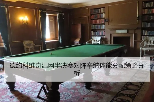 de-yue-ke-wei-qi-wen-wang-ban-jue-sai-dui-zhen-xin-na-ti-neng-fen-pei-ce-lve-fen-xi-3-962.jpg